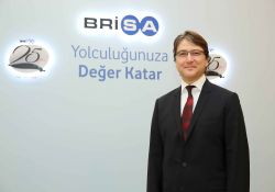 BRISA NIN 2013 CİROSU ARTTI