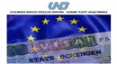 UND Schengen Sürücü Vizeleri Sorunu - Durum Tespit Araştırması (Haziran 2024)